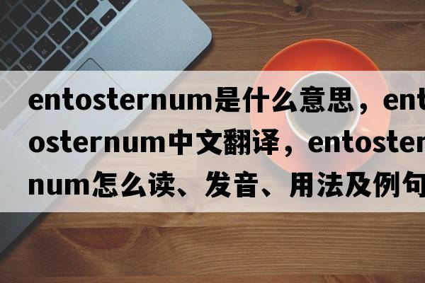entosternum是什么意思，entosternum中文翻譯，entosternum怎么讀、發(fā)音、用法及例句
