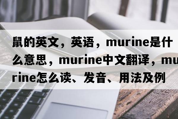 鼠的英文，英語(yǔ)，murine是什么意思，murine中文翻譯，murine怎么讀、發(fā)音、用法及例句