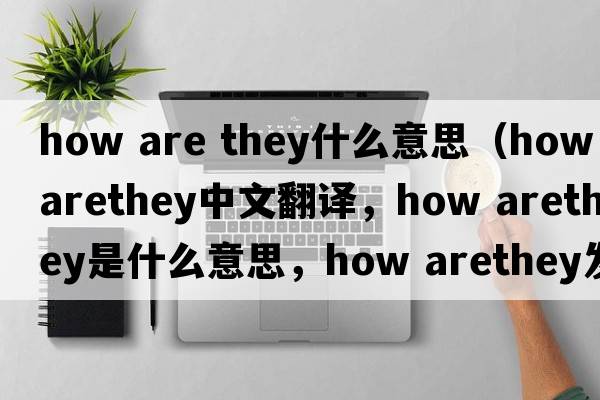 how are they什么意思（how arethey中文翻譯，how arethey是什么意思，how arethey發(fā)音、用法及例句）