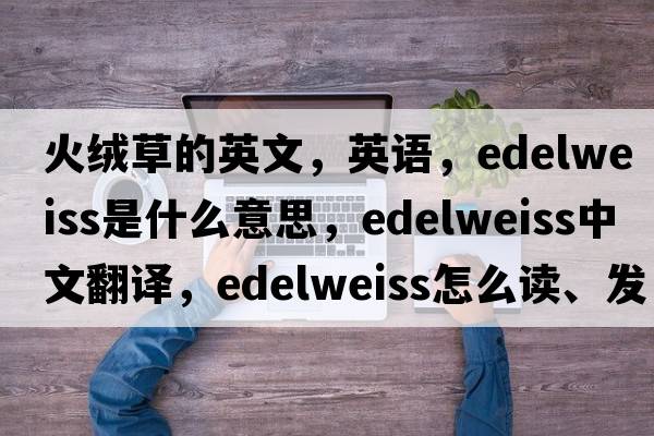 火絨草的英文，英語(yǔ)，edelweiss是什么意思，edelweiss中文翻譯，edelweiss怎么讀、發(fā)音、用法及例句