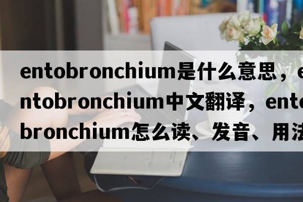 entobronchium是什么意思，entobronchium中文翻譯，entobronchium怎么讀、發(fā)音、用法及例句