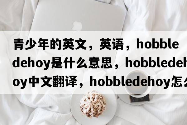 青少年的英文，英語(yǔ)，hobbledehoy是什么意思，hobbledehoy中文翻譯，hobbledehoy怎么讀、發(fā)音、用法及例句