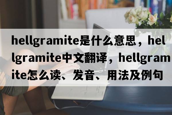 hellgramite是什么意思，hellgramite中文翻譯，hellgramite怎么讀、發(fā)音、用法及例句
