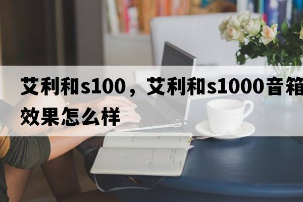 艾利和s100，艾利和s1000音箱效果怎么樣