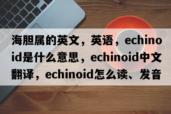 海膽屬的英文，英語(yǔ)，echinoid是什么意思，echinoid中文翻譯，echinoid怎么讀、發(fā)音、用法及例句