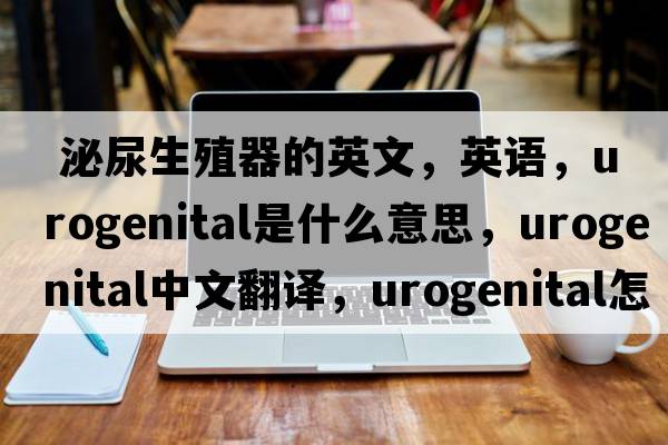  泌尿生殖器的英文，英語(yǔ)，urogenital是什么意思，urogenital中文翻譯，urogenital怎么讀、發(fā)音、用法及例句