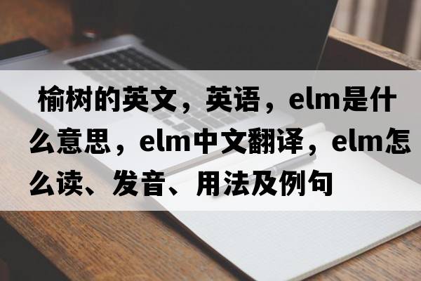  榆樹(shù)的英文，英語(yǔ)，elm是什么意思，elm中文翻譯，elm怎么讀、發(fā)音、用法及例句