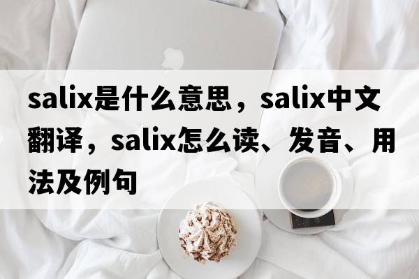 Salix是什么意思，Salix中文翻譯，Salix怎么讀、發(fā)音、用法及例句