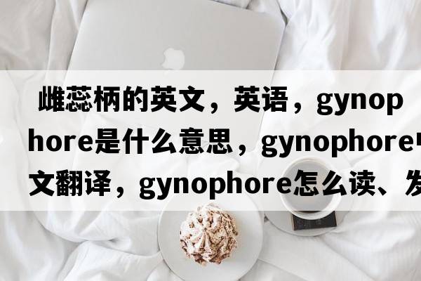  雌蕊柄的英文，英語(yǔ)，gynophore是什么意思，gynophore中文翻譯，gynophore怎么讀、發(fā)音、用法及例句