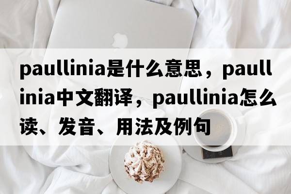 Paullinia是什么意思，Paullinia中文翻譯，Paullinia怎么讀、發(fā)音、用法及例句
