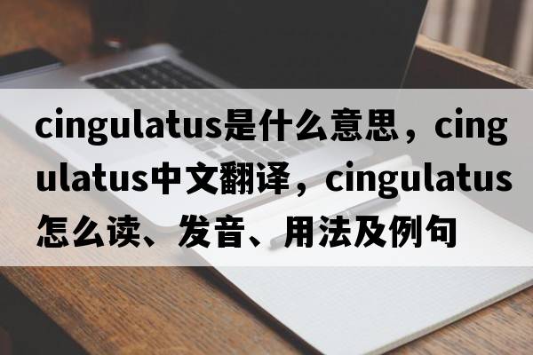 cingulatus是什么意思，cingulatus中文翻譯，cingulatus怎么讀、發(fā)音、用法及例句