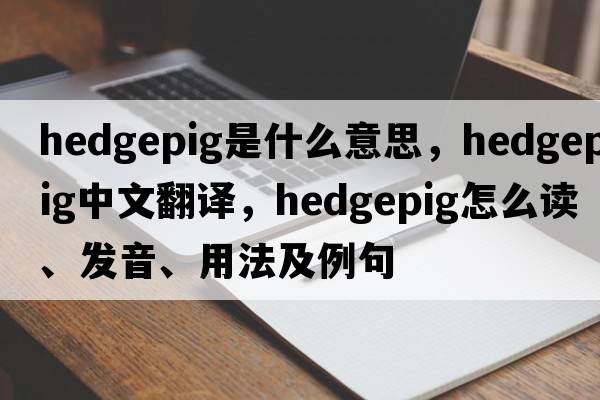 hedgepig是什么意思，hedgepig中文翻譯，hedgepig怎么讀、發(fā)音、用法及例句