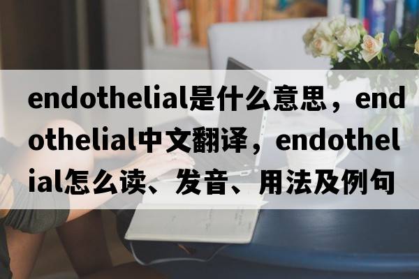 endothelial是什么意思，endothelial中文翻譯，endothelial怎么讀、發(fā)音、用法及例句
