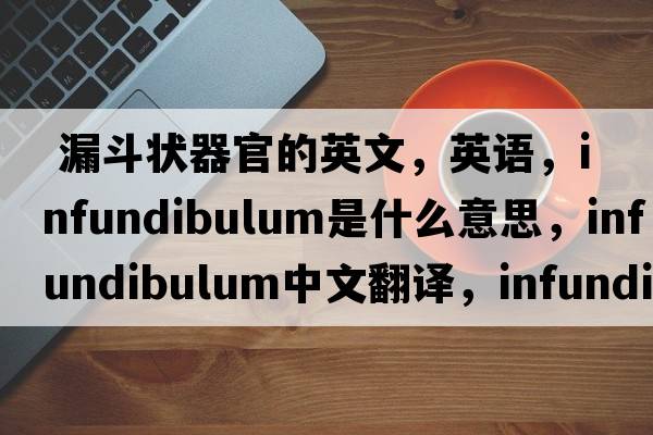  漏斗狀器官的英文，英語(yǔ)，infundibulum是什么意思，infundibulum中文翻譯，infundibulum怎么讀、發(fā)音、用法及例句