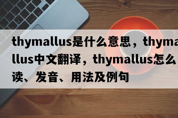 Thymallus是什么意思，Thymallus中文翻譯，Thymallus怎么讀、發(fā)音、用法及例句
