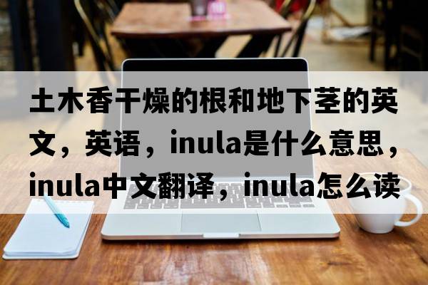 土木香干燥的根和地下莖的英文，英語(yǔ)，inula是什么意思，inula中文翻譯，inula怎么讀、發(fā)音、用法及例句