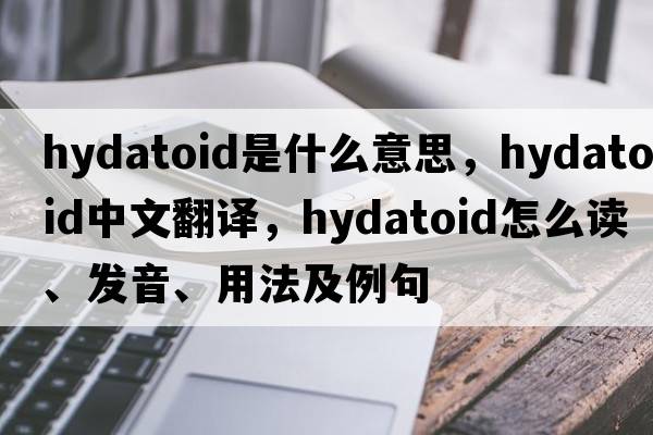 hydatoid是什么意思，hydatoid中文翻譯，hydatoid怎么讀、發(fā)音、用法及例句