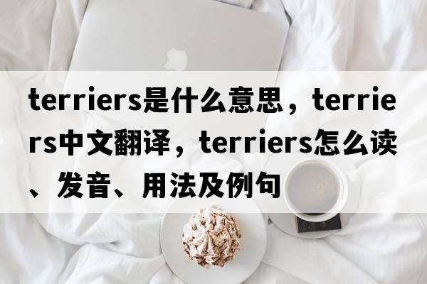terriers是什么意思，terriers中文翻譯，terriers怎么讀、發(fā)音、用法及例句