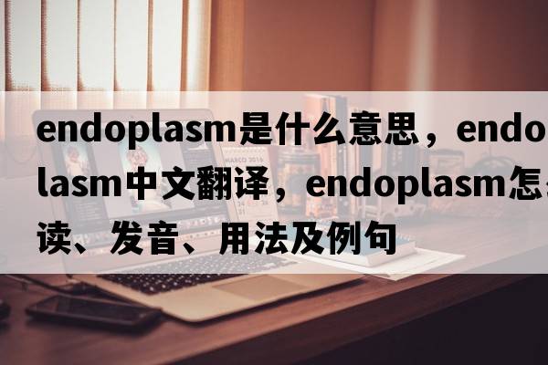 endoplasm是什么意思，endoplasm中文翻譯，endoplasm怎么讀、發(fā)音、用法及例句