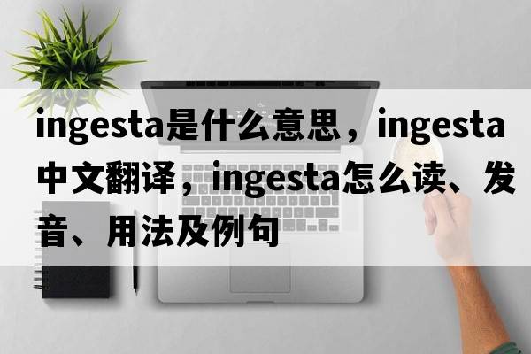 ingesta是什么意思，ingesta中文翻譯，ingesta怎么讀、發(fā)音、用法及例句