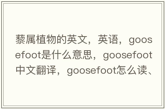 藜屬植物的英文，英語(yǔ)，goosefoot是什么意思，goosefoot中文翻譯，goosefoot怎么讀、發(fā)音、用法及例句