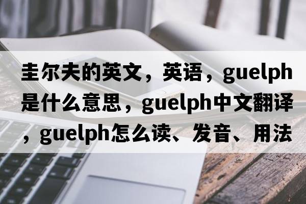 圭爾夫的英文，英語(yǔ)，Guelph是什么意思，Guelph中文翻譯，Guelph怎么讀、發(fā)音、用法及例句