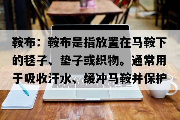 鞍布：鞍布是指放置在馬鞍下的毯子、墊子或織物。通常用于吸收汗水、緩沖馬鞍并保護馬背。較輕的鞍布的英文，英語(yǔ)，saddlecloth是什么意思，saddlecloth中文翻譯，saddlecloth怎么