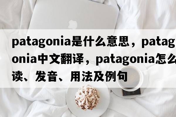Patagonia是什么意思，Patagonia中文翻譯，Patagonia怎么讀、發(fā)音、用法及例句