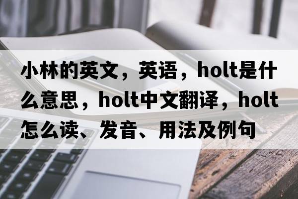 小林的英文，英語(yǔ)，holt是什么意思，holt中文翻譯，holt怎么讀、發(fā)音、用法及例句