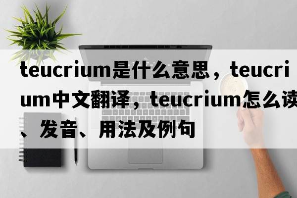 Teucrium是什么意思，Teucrium中文翻譯，Teucrium怎么讀、發(fā)音、用法及例句