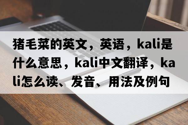 豬毛菜的英文，英語(yǔ)，kali是什么意思，kali中文翻譯，kali怎么讀、發(fā)音、用法及例句
