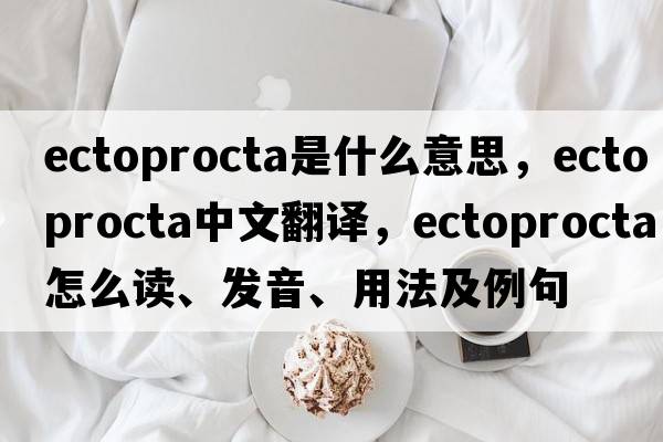 Ectoprocta是什么意思，Ectoprocta中文翻譯，Ectoprocta怎么讀、發(fā)音、用法及例句