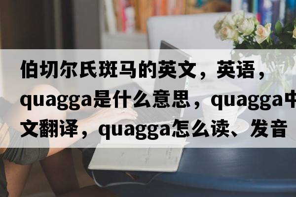伯切爾氏斑馬的英文，英語(yǔ)，quagga是什么意思，quagga中文翻譯，quagga怎么讀、發(fā)音、用法及例句
