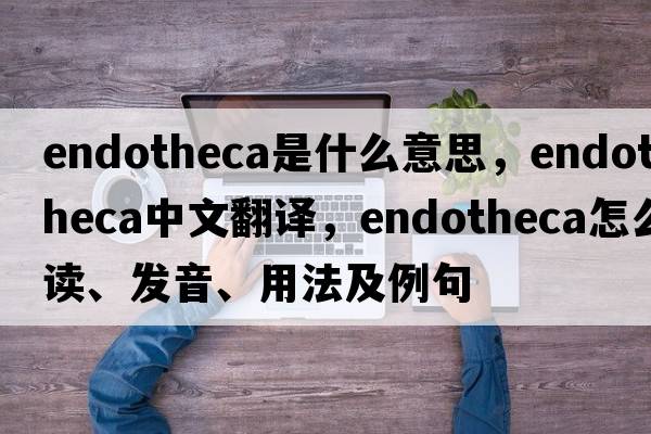 endotheca是什么意思，endotheca中文翻譯，endotheca怎么讀、發(fā)音、用法及例句