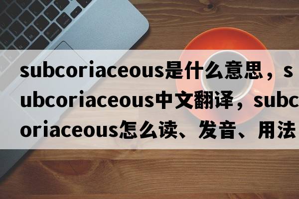 subcoriaceous是什么意思，subcoriaceous中文翻譯，subcoriaceous怎么讀、發(fā)音、用法及例句
