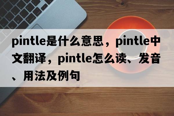 pintle是什么意思，pintle中文翻譯，pintle怎么讀、發(fā)音、用法及例句