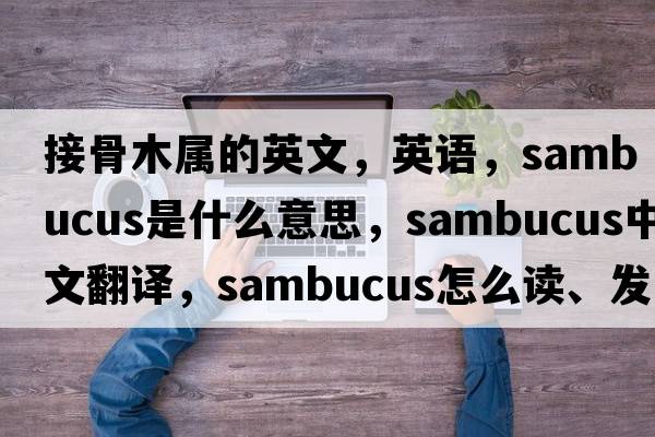 接骨木屬的英文，英語(yǔ)，sambucus是什么意思，sambucus中文翻譯，sambucus怎么讀、發(fā)音、用法及例句