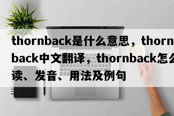 thornback是什么意思，thornback中文翻譯，thornback怎么讀、發(fā)音、用法及例句