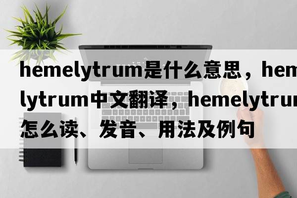 hemelytrum是什么意思，hemelytrum中文翻譯，hemelytrum怎么讀、發(fā)音、用法及例句