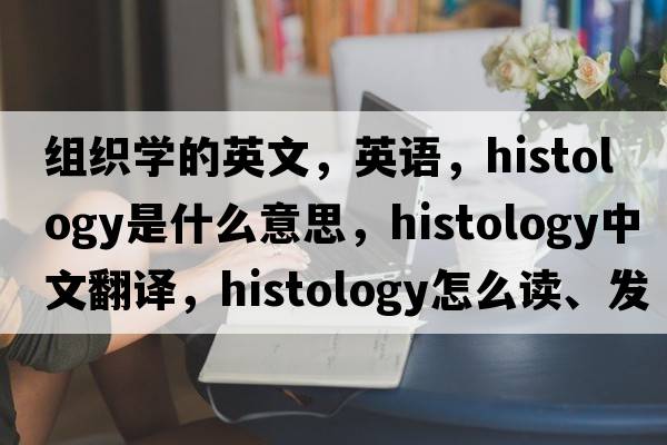 組織學(xué)的英文，英語(yǔ)，histology是什么意思，histology中文翻譯，histology怎么讀、發(fā)音、用法及例句