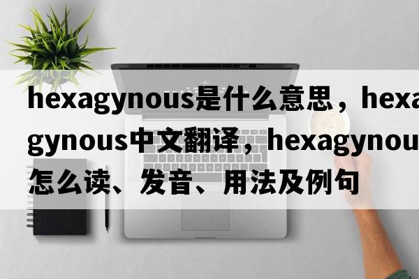 hexagynous是什么意思，hexagynous中文翻譯，hexagynous怎么讀、發(fā)音、用法及例句