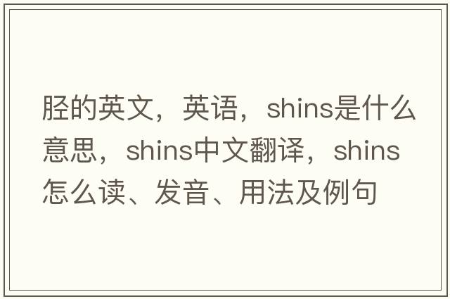 脛的英文，英語(yǔ)，shins是什么意思，shins中文翻譯，shins怎么讀、發(fā)音、用法及例句
