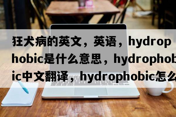 狂犬病的英文，英語(yǔ)，hydrophobic是什么意思，hydrophobic中文翻譯，hydrophobic怎么讀、發(fā)音、用法及例句