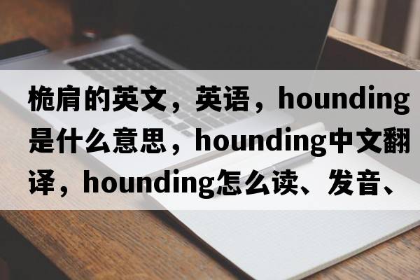桅肩的英文，英語(yǔ)，hounding是什么意思，hounding中文翻譯，hounding怎么讀、發(fā)音、用法及例句