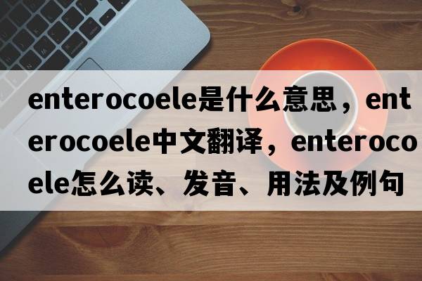 enterocoele是什么意思，enterocoele中文翻譯，enterocoele怎么讀、發(fā)音、用法及例句
