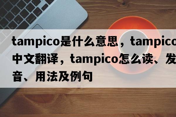 Tampico是什么意思，Tampico中文翻譯，Tampico怎么讀、發(fā)音、用法及例句