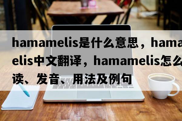 hamamelis是什么意思，hamamelis中文翻譯，hamamelis怎么讀、發(fā)音、用法及例句