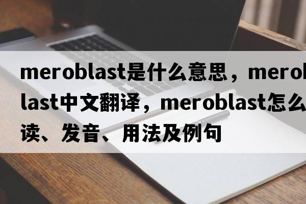 meroblast是什么意思，meroblast中文翻譯，meroblast怎么讀、發(fā)音、用法及例句