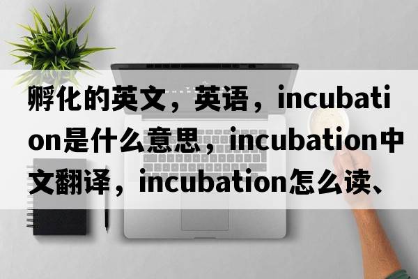 孵化的英文，英語(yǔ)，incubation是什么意思，incubation中文翻譯，incubation怎么讀、發(fā)音、用法及例句