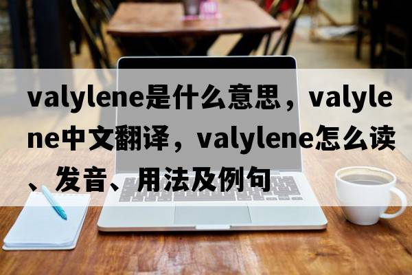valylene是什么意思，valylene中文翻譯，valylene怎么讀、發(fā)音、用法及例句